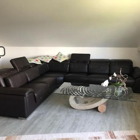 Ferienwohnung-Ameisenhardt شليدن المظهر الخارجي الصورة